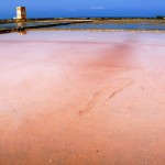 SICILY SALINE